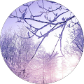 user_profile
