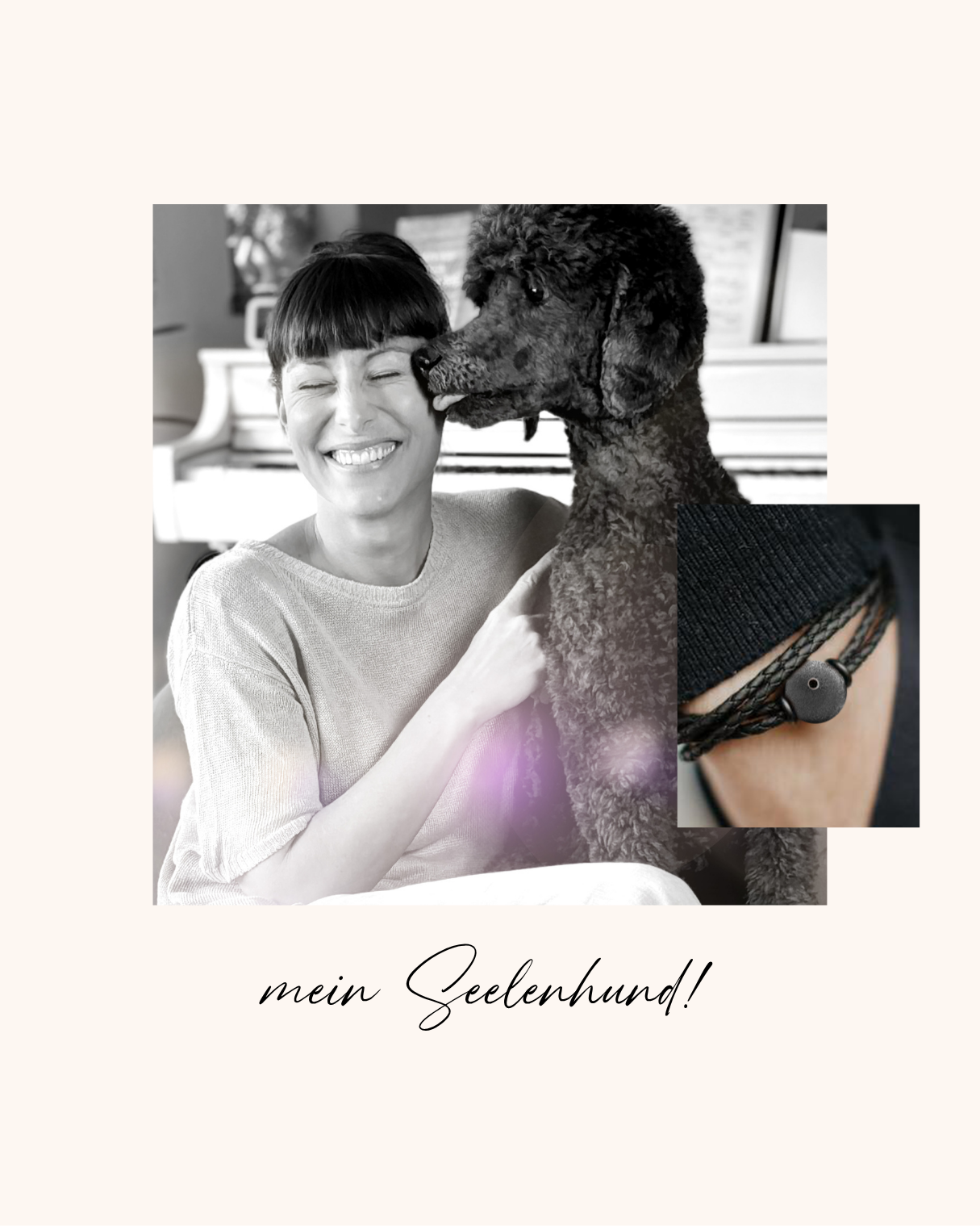 Seelenhund – ein treuer Wegbegleiter als bleibende Erinnerung